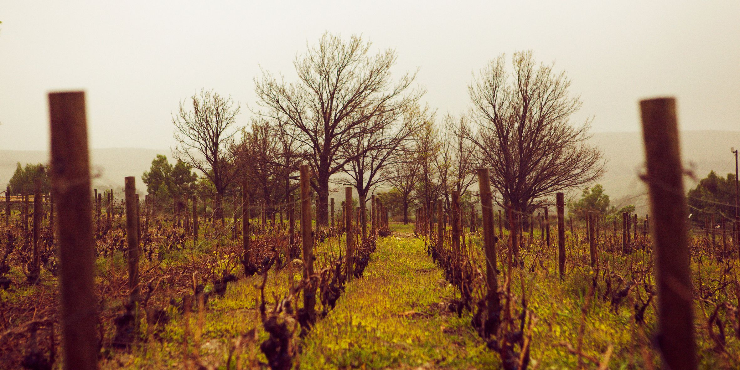 Crystallum Wines – Wine To Share