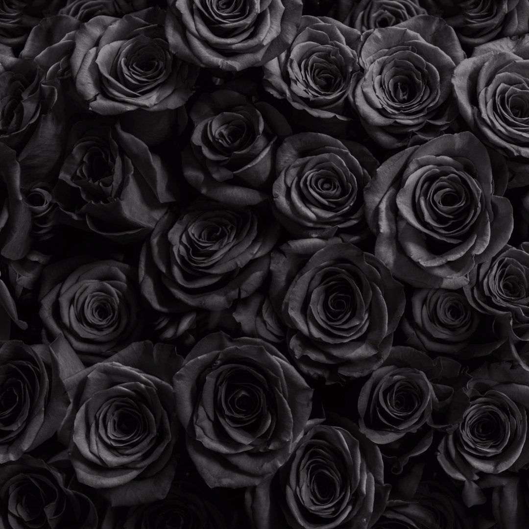 Valentine's Collection