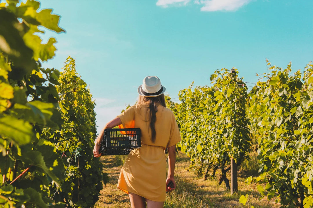 Women in Wine