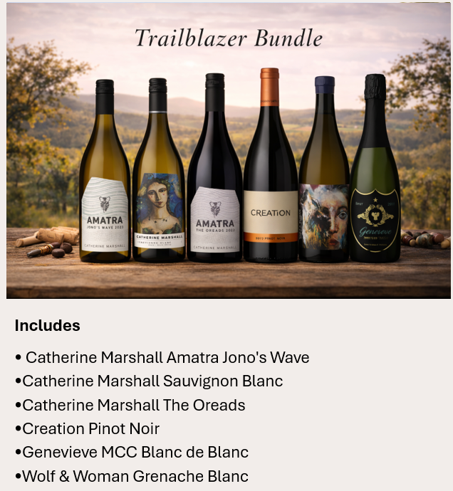 Pioneers and Owners (Trailblazer)